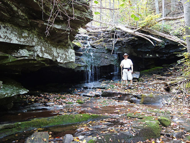 Picture 5 of Chimney Hollow and Elliot Knob 100513