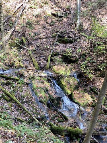4-foot waterfall along the Bull Run Trail