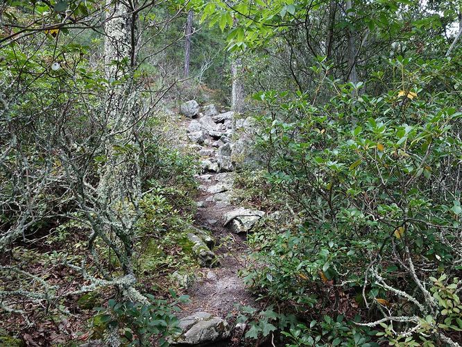Picture 23 of Chimney Top Hike 080418
