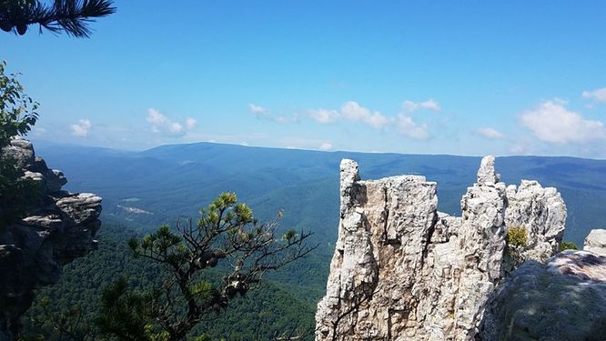 Picture 4 of Chimney Top Hike 080418