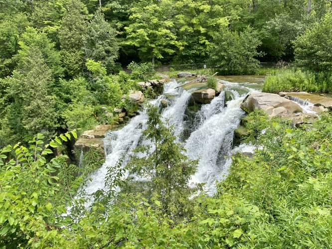 Top of Chittenango Falls (167-feet tall)