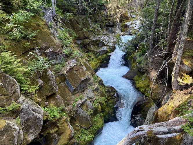 Default image for Upper Christine Falls Hike, a 0.6-mile trail in Ashford, WA (US)