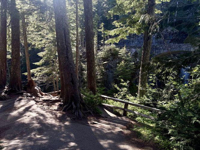 Root-filled uneven path leads to a viewpoint of Christine Falls