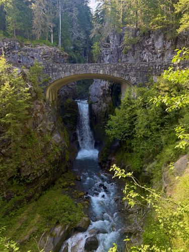 Portrait view of Christine Falls