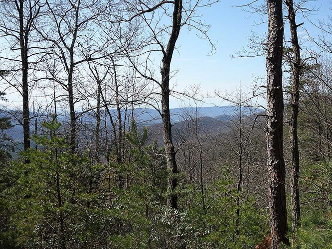 Picture 27 of Church Rock Hike 041319