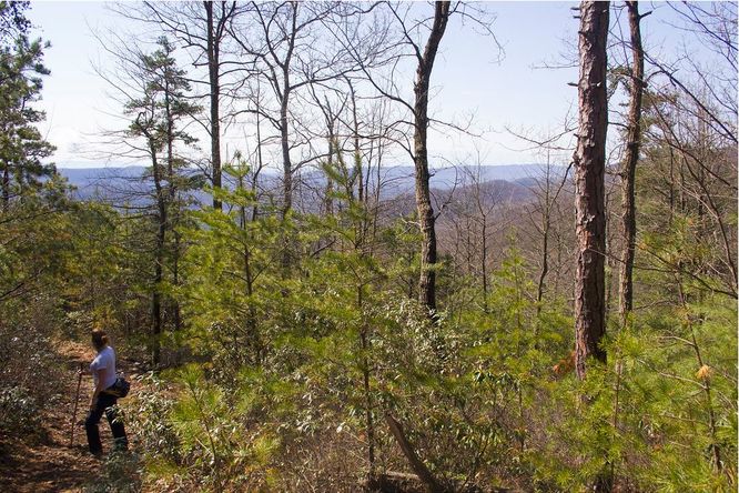 Picture 34 of Church Rock Hike 041319