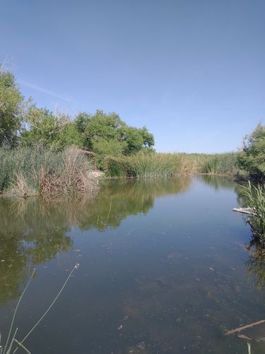 Wildlife Habitat created by reclaimed waters