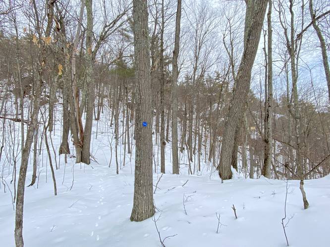 Breaking trail up to Clements Pond