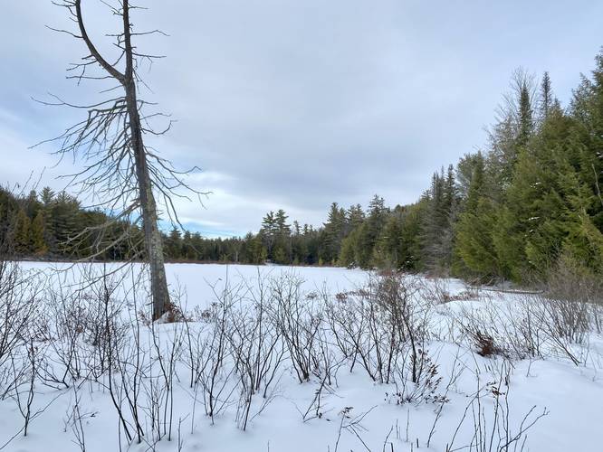 View of Clements Pond