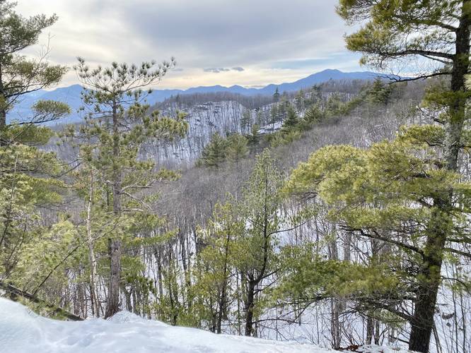 Clements Ledge Vista (off-trail)