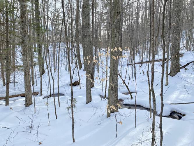 Snow-covered brook