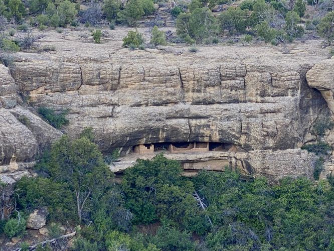 View of cliff dwellings in an alcove on the west side of Cliff Canyon