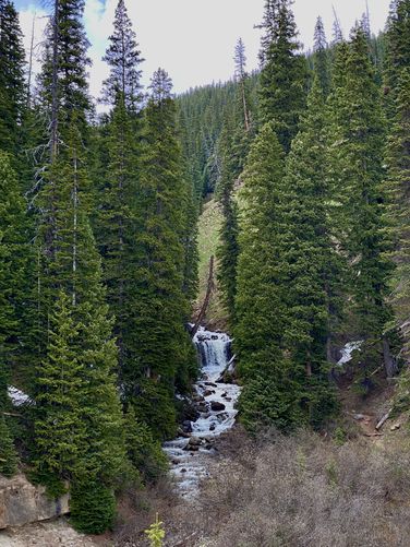 View of Coal Creek Falls