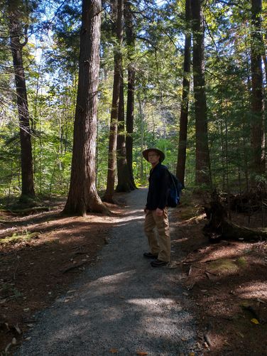 Trail substrate 