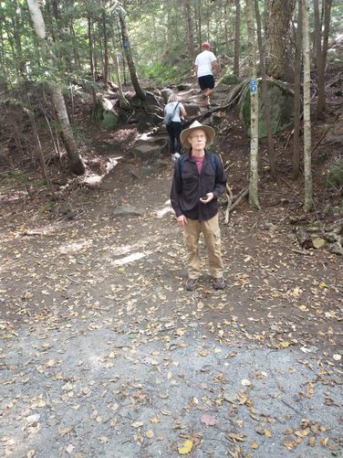Intersection of Whitney Road where trail substrate changes