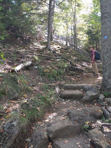 The ascent begins with tricky footing