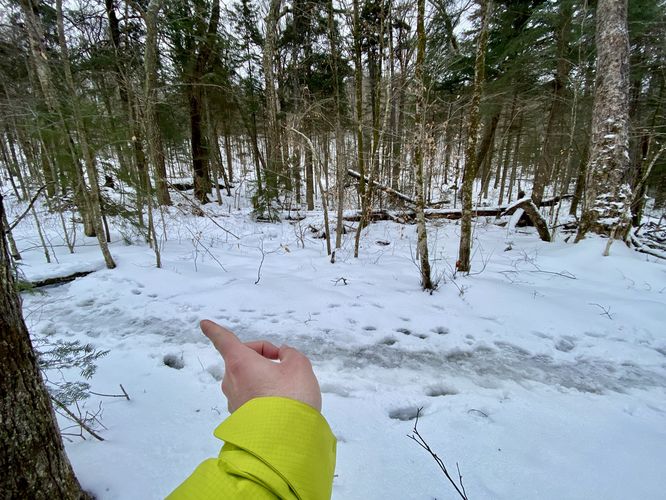 Left-Hand turn (hiking in)
