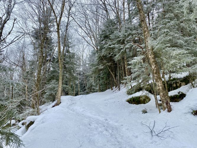 Hiking up the frosty Cobble Hill in the winter