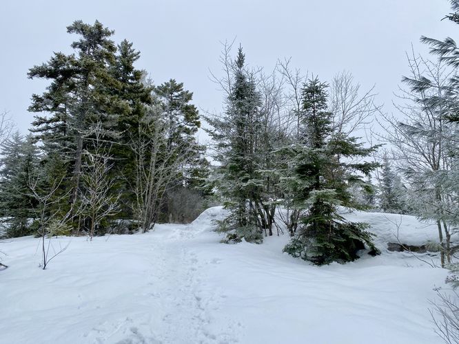 Hiking to the summit of Cobble Hill