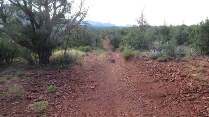 Wide gravely section of trail