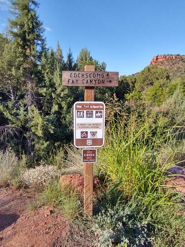 Wooden Trail signage