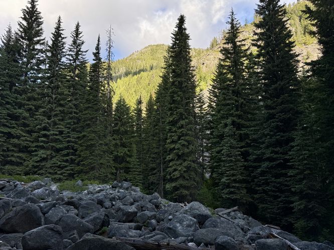 Boulder field