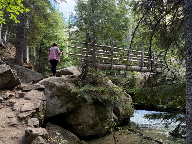 Footbridge over Mountaineer Creek