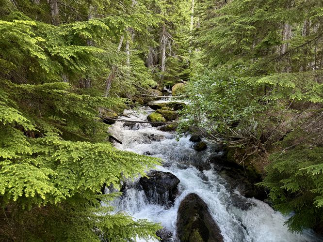 Tumbling Cascades of Mountaineer Creek