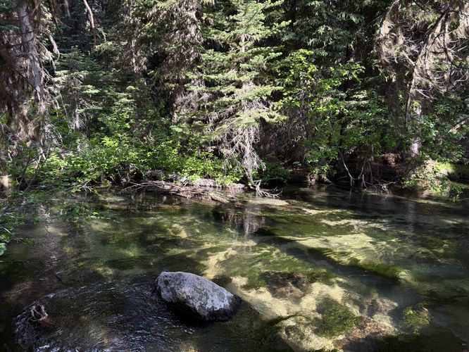Scenic Mountaineer Creek (filter / break spot)