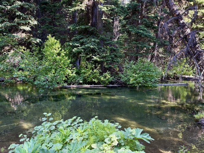 Crystal-clear waters of Mountaineer Creek