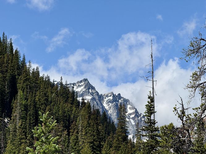 Alpine peaks poke out above the trees