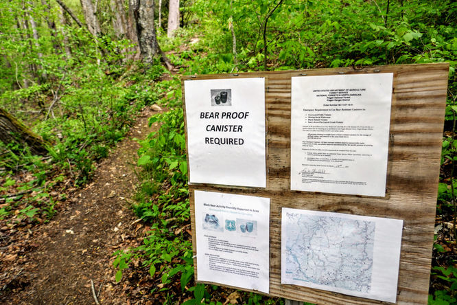 Picture 4 of Cold Mountain Hike 050618