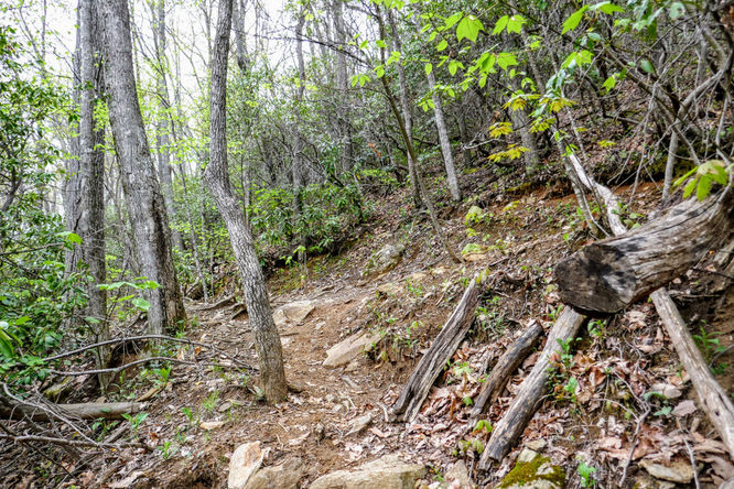 Picture 5 of Cold Mountain Hike 050618