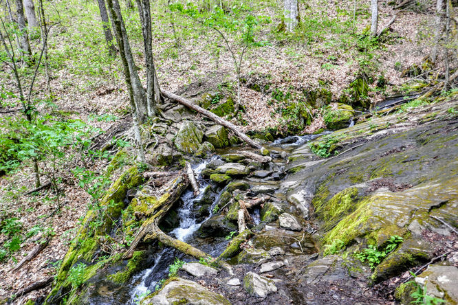 Picture 7 of Cold Mountain Hike 050618