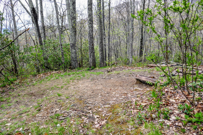 Picture 10 of Cold Mountain Hike 050618
