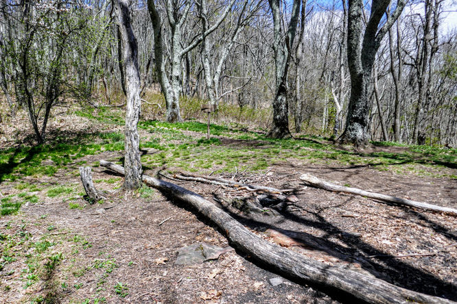 Picture 18 of Cold Mountain Hike 050618