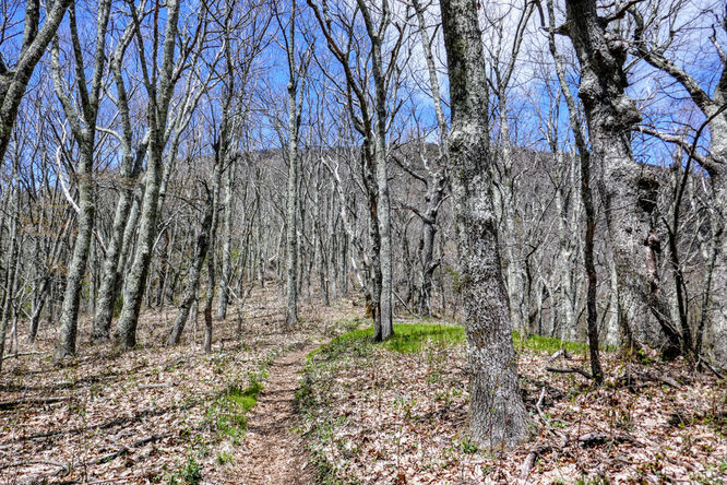 Picture 21 of Cold Mountain Hike 050618