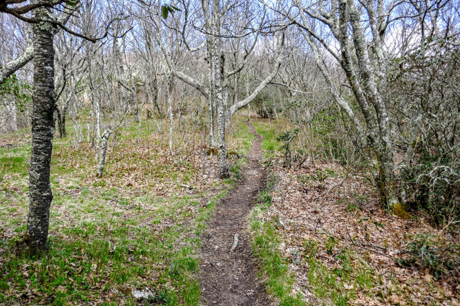 Picture 24 of Cold Mountain Hike 050618