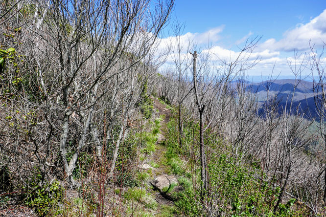 Picture 26 of Cold Mountain Hike 050618