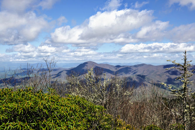 Picture 28 of Cold Mountain Hike 050618