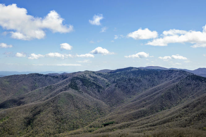 Picture 32 of Cold Mountain Hike 050618