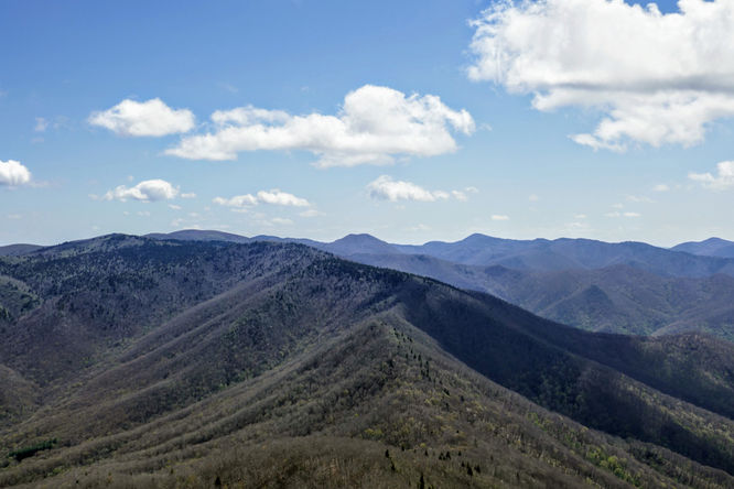 Picture 33 of Cold Mountain Hike 050618