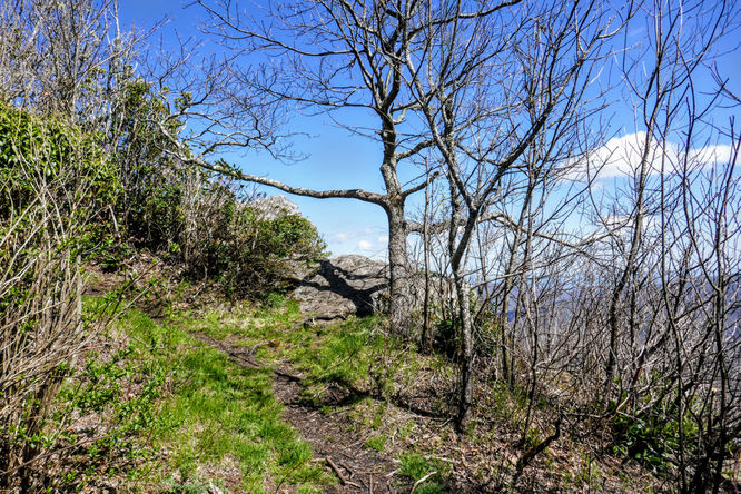Picture 37 of Cold Mountain Hike 050618