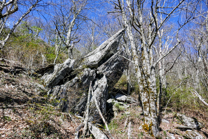 Picture 39 of Cold Mountain Hike 050618