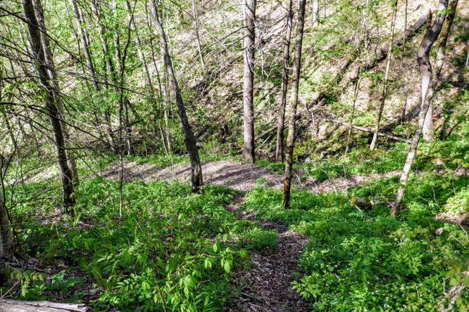 Picture 41 of Cold Mountain Hike 050618