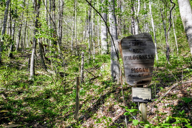 Picture 43 of Cold Mountain Hike 050618