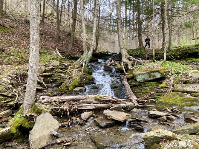 Lower Cold Run Cascades