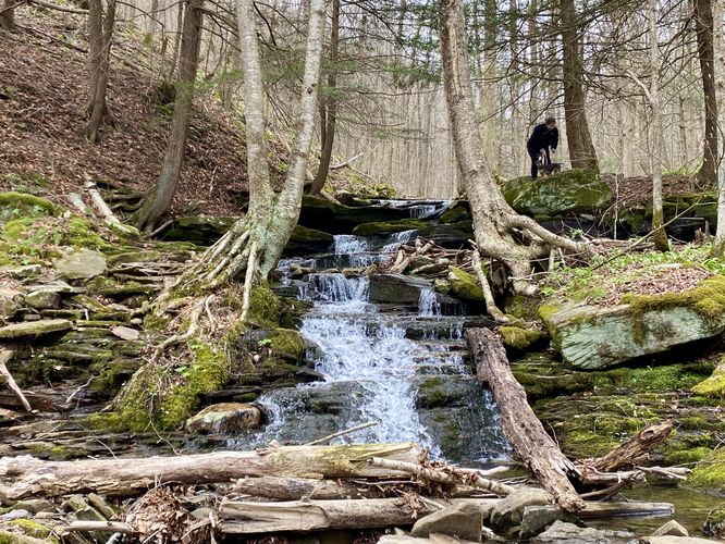 Lower Cold Run Cascades