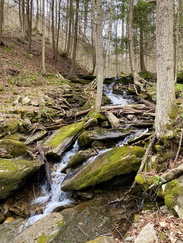 Lower Cold Run Cascades