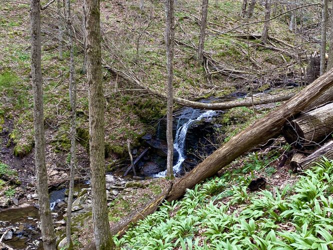 Waterfall, approx. 8-feet tall